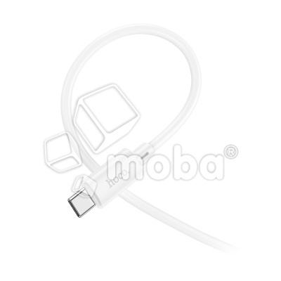 DTC-TCTC-HCO-X88-W_1